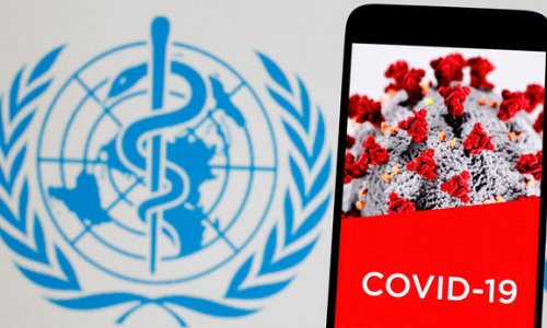 В ВОЗ оценили реальное число смертей от коронавируса в мире