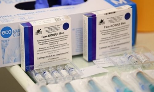 В Турцию прибыла первая партия российской вакцины «Спутник V»