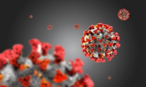 Ученые предупредили о риске появления устойчивого штамма коронавируса