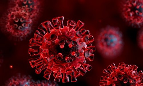 Ученые обнаружили, что коронавирус провоцирует многомесячные сбои иммунитета