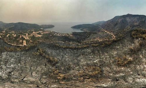 Bodrum və Milas qara rəngə boyandı: Ürək dağlayan görüntülər (VİDEO/ FOTO)