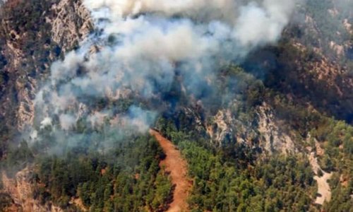 Muğlada yenidən meşə yanğınları başladı - Foto