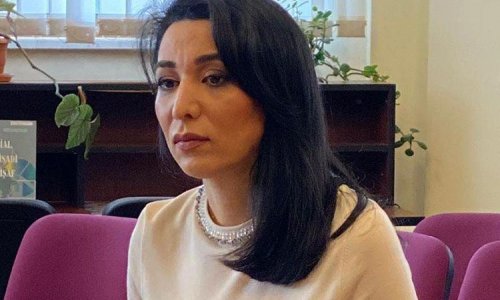 Armenia grossly violates international law - Azerbaijani ombudsperson