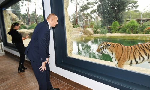 Prezidentlə ailəsi zooparkın açılışında - Fotolar