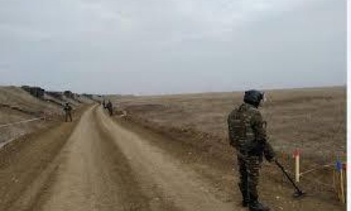 38 mines detected in liberated areas