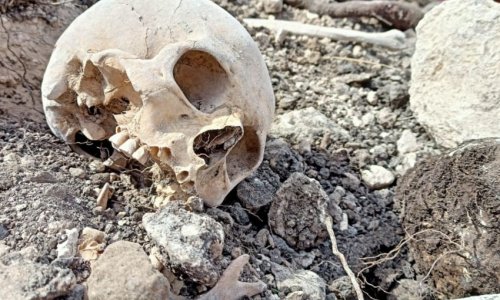 Remains of corpses, unearthed in Farrukh, exhumed