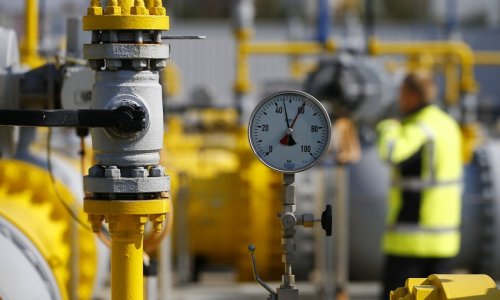 German gas reserves can last until early fall, says regulator