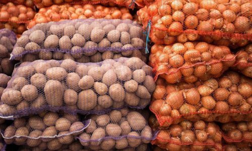 Kartof və soğanın qiymət artımına səbəb nədir?- Satıcılar danışdı
