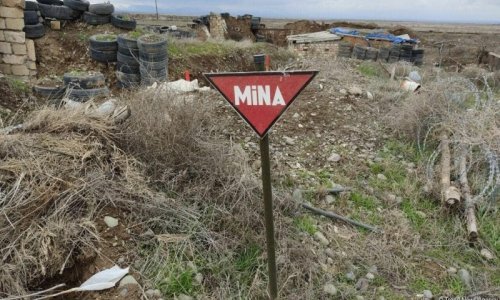 Another 79 mines found in liberated territories of Azerbaijan