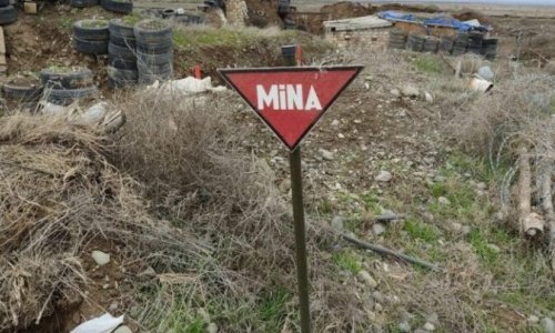 Another 144 mines found in liberated territories of Azerbaijan