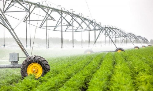 Azerbaijan's agrarian sector grows by over 3%