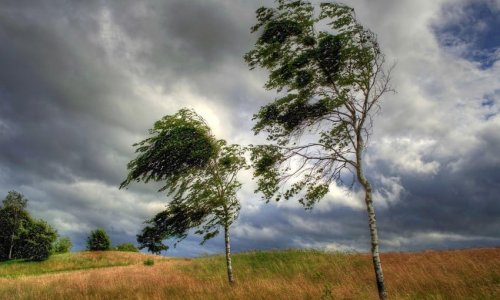 Strong wind expected tomorrow – WARNING 