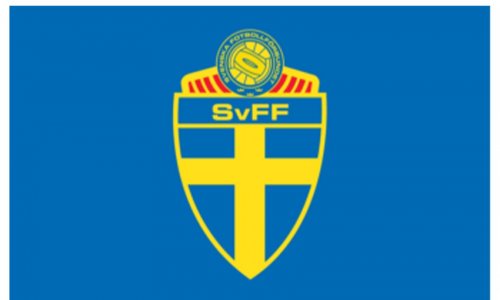 Федерация футбола Швеции: Мы не допустим никаких провокаций 