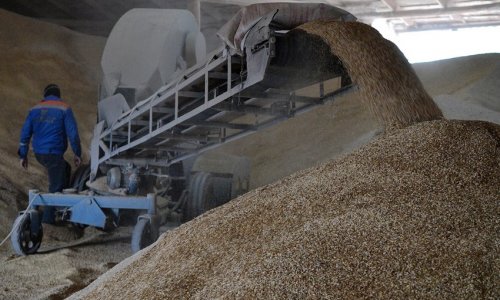 Lithuania is ready to export 1M tons of Ukrainian grain by rail