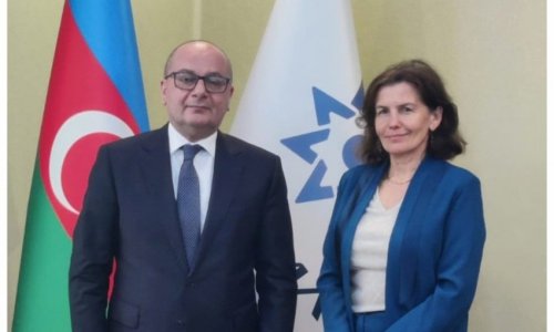 French ambassador discusses demining issues with ANAMA chairman