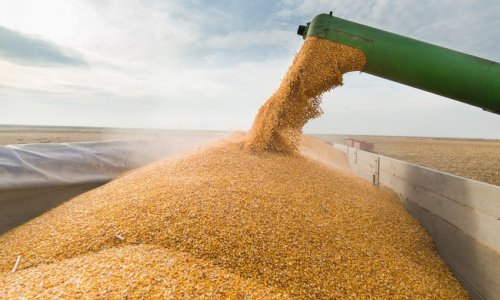 Talks on grain deal scheduled for May 3