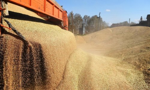 Representatives of Russia, Ukraine and Türkiye to discuss grain deal in Istanbul