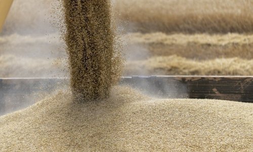 POLITICO: 12 countries blast Ukraine grain agreement