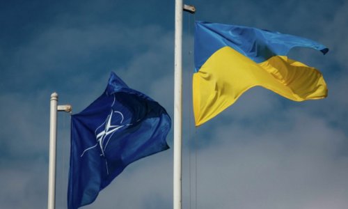 Bild: US, Germany blocking Ukraine’s official application for NATO membership