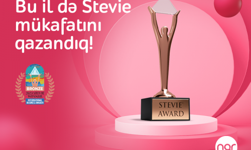 Nar Won Stevie® Award