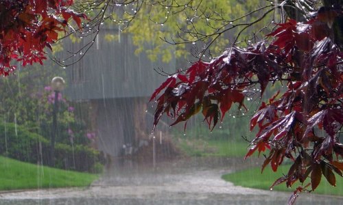 Şimşək çaxıb, leysan xarakterli yağış yağıb - FAKTİKİ HAVA