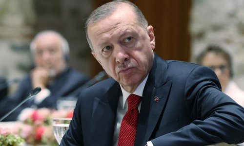 Erdogan meets Elon Musk