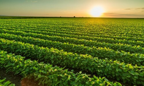 Azerbaijan reduces agricultural expenses by 8%