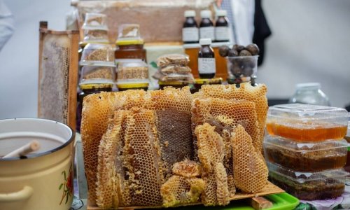 Завтра в Баку стартует ярмарка продукции пчеловодства