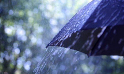 Rain, strong wind expected tomorrow