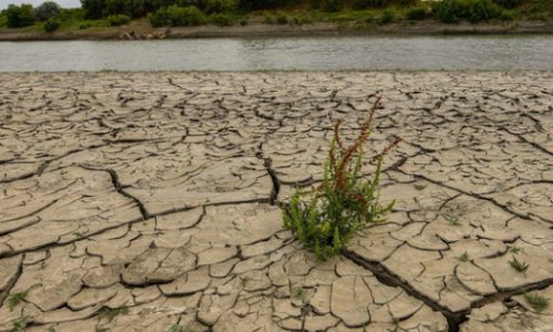 ФАО: Азербайджан входит в число страдающих от нехватки воды стран