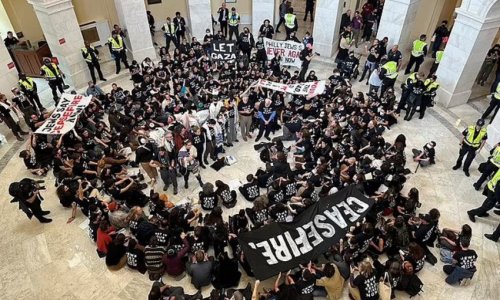 Washington police detain hundreds during pro-Palestinian protests