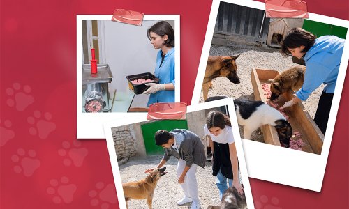 Red Hearts Volunteers Extend Helping Paw to Animal Shelter