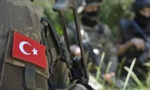 Türkiyə ordusu 3 PKK-lını zərərsizləşdirib