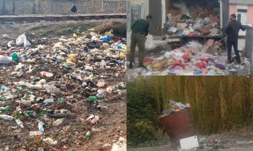 Ekologiyaya zərər vuranlar cəzalandırılıblar