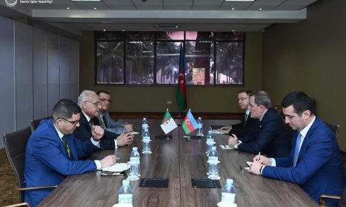 Главы МИД Азербайджана и Алжира обсудили вопросы двустороннего сотрудничества