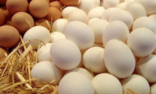 Azerbaijan sends 3.3M eggs to Russia