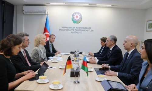 Azerbaijan, Germany mull preparations for COP29