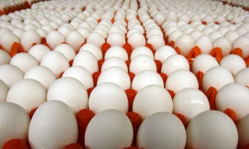 Azerbaijan supplied 4.2 million eggs to Russia in January 2024