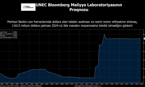 UNEC 2024-cü il üçün manatın məzənnəsi ilə bağlı proqnozu açıqlayıb