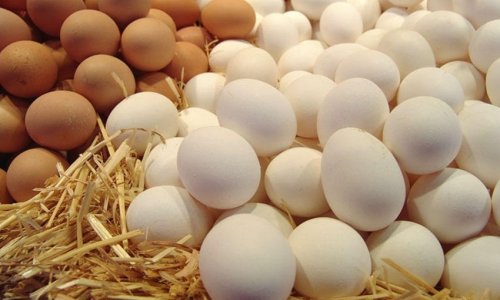 Russia receives 13.3 million eggs from Azerbaijan and Türkiye