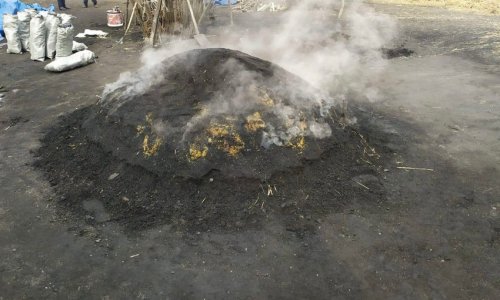 В Исмаиллинском районе пресекли незаконное производство угля