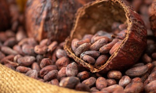 Цены на какао побили все рекорды