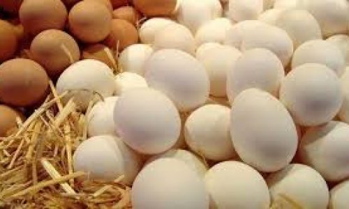 Из Азербайджана в Россию за неделю поставлено почти 4 млн яиц