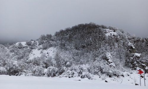 В горных районах Азербайджана выпал снег