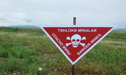 ANAMA head: 116,574 landmines and ammunition found in Azerbaijan’s liberated lands