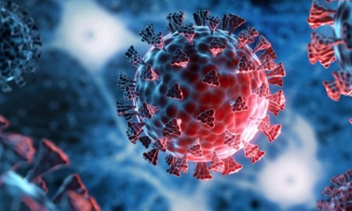 В Европе умер пациент, перенесший 50 мутаций коронавируса