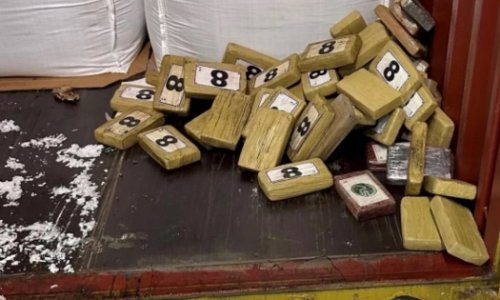 В Санкт-Петербурге обнаружили 60 кг кокаина