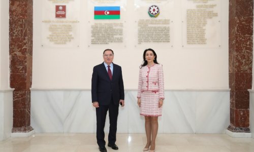 Омбудсмены Азербайджана и Турции обсудили сотрудничество в области прав человека