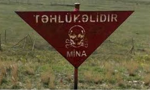 МВД Азербайджана и ANAMA обратились к гражданам в связи с минной угрозой