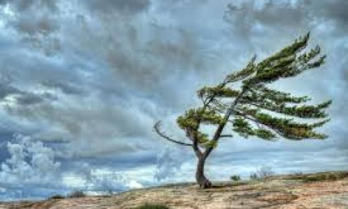 В Азербайджане ожидается ухудшение погодных условий: усилится ветер, пройдут сели